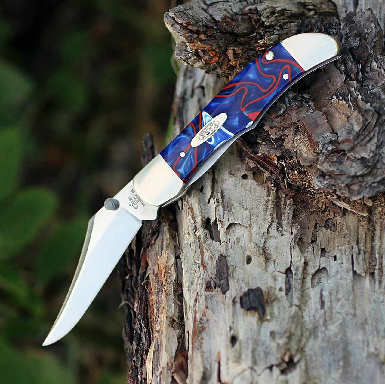 Budget ๐ Case 11216 A/O Mid-Folding Hunter,Patriotic Kirinite Handle (101265AC SS) ๐งจ 2 Budget ๐ Case 11216 A/O Mid-Folding Hunter,Patriotic Kirinite Handle (101265AC SS) ๐งจ - Image 2