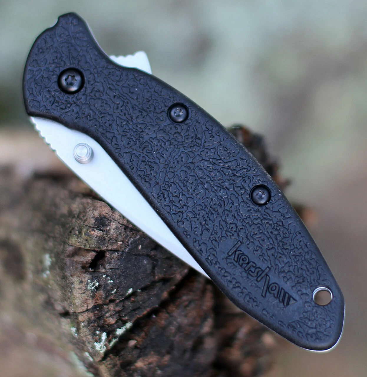 Coupon 👏 Kershaw Knives Kershaw 1620ST Scallion, 2.4" 420HC SS Combo Edge, GFN Handle 🤩 4 Coupon 👏 Kershaw Knives Kershaw 1620ST Scallion, 2.4" 420HC SS Combo Edge, GFN Handle 🤩 - Image 4