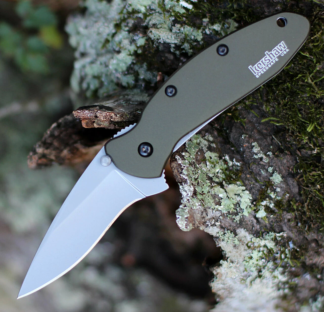 Deals 😍 Kershaw Knives Kershaw 1620OL Scallion, 2.25" 420HC SS Plain Blade, Olive Aluminum Handle 😍 1 Deals 😍 Kershaw Knives Kershaw 1620OL Scallion, 2.25" 420HC SS Plain Blade, Olive Aluminum Handle 😍