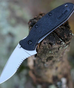 Coupon 👏 Kershaw Knives Kershaw 1620ST Scallion, 2.4" 420HC SS Combo Edge, GFN Handle 🤩