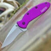 New 🎁 Kershaw Knives Kershaw 1620PUR Scallion, 2.4" 420HC Plain Blade, Purple Anodized Aluminum Handle 😀