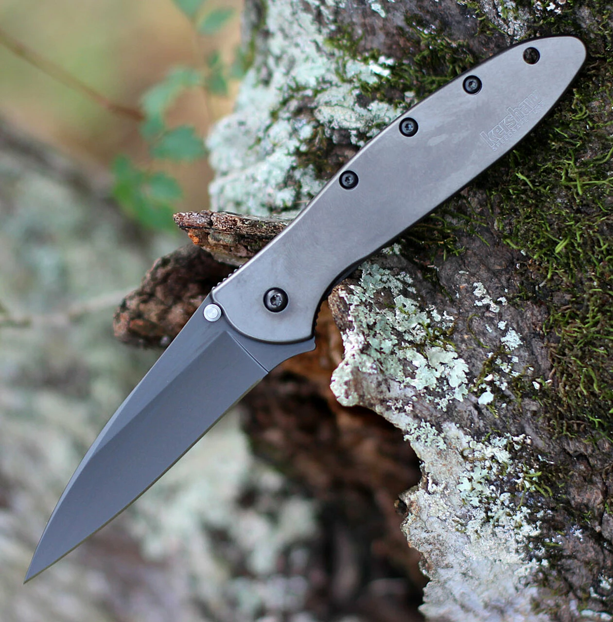 Cheapest 🤩 Kershaw Knives Kershaw 1660GRY Leek, 3" Sandvik 14C28N Gray Plain Blade, Gray 410 SS Handle ⌛ 1 Cheapest 🤩 Kershaw Knives Kershaw 1660GRY Leek, 3" Sandvik 14C28N Gray Plain Blade, Gray 410 SS Handle ⌛