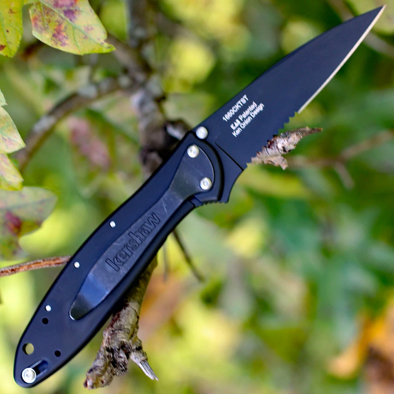 Flash Sale 🎉 Kershaw Knives Kershaw 1660CKTST Leek, 3" Sandvik 14C28N Combo Blade, 410 Stainless Handle ✔️ 2 Flash Sale 🎉 Kershaw Knives Kershaw 1660CKTST Leek, 3" Sandvik 14C28N Combo Blade, 410 Stainless Handle ✔️ - Image 2