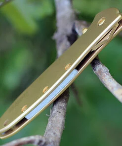 Discount 🧨 Kershaw Knives Kershaw 1660G LEEK, 24K Gold Plated, 3" Sandvik 14C28N Plain Blade 🌟 -Automatic Knives shop 1660g 05179.1566585924