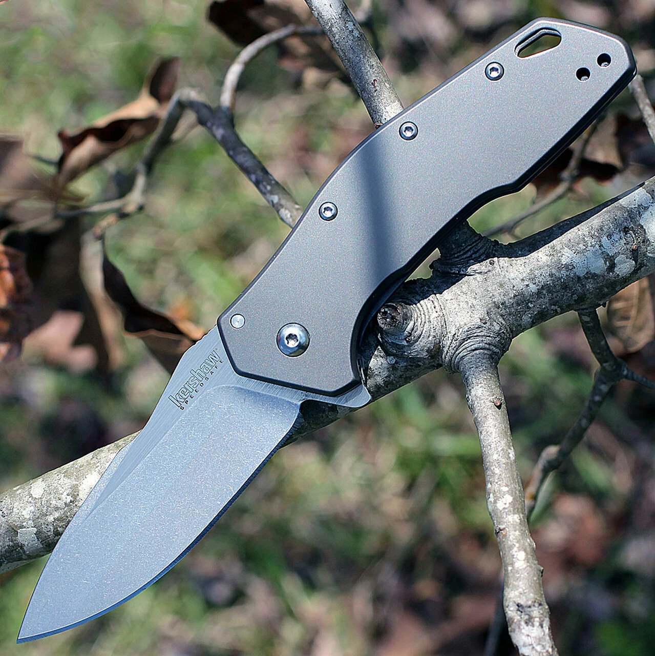 Deals 👏 Kershaw Knives Kershaw 1881 Eris, 3" 8Cr13MoV SS Plain Blade, Titanium Coated Handle 💯 1 Deals 👏 Kershaw Knives Kershaw 1881 Eris, 3" 8Cr13MoV SS Plain Blade, Titanium Coated Handle 💯