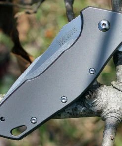 Deals 👏 Kershaw Knives Kershaw 1881 Eris, 3" 8Cr13MoV SS Plain Blade, Titanium Coated Handle 💯 6 Deals 👏 Kershaw Knives Kershaw 1881 Eris, 3" 8Cr13MoV SS Plain Blade, Titanium Coated Handle 💯 -Automatic Knives shop 1881.2 29665.1566585870