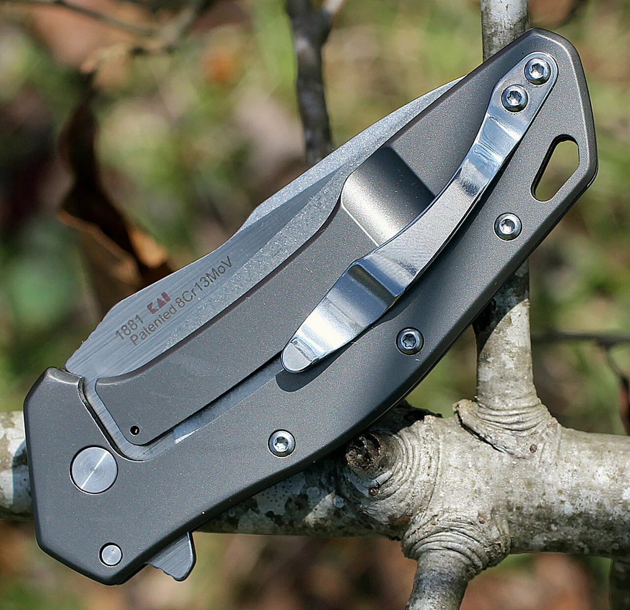 Deals 👏 Kershaw Knives Kershaw 1881 Eris, 3" 8Cr13MoV SS Plain Blade, Titanium Coated Handle 💯 4 Deals 👏 Kershaw Knives Kershaw 1881 Eris, 3" 8Cr13MoV SS Plain Blade, Titanium Coated Handle 💯 - Image 4