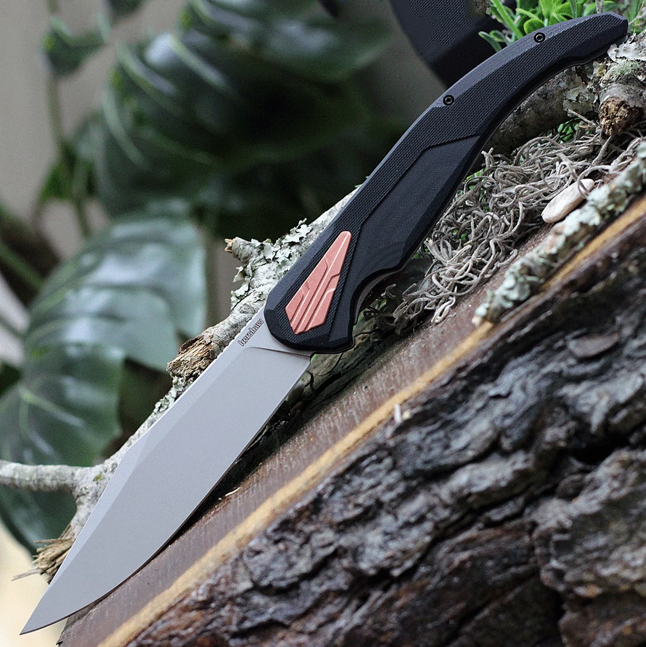 Outlet ✨ Kershaw Knives Kershaw Strata XL 2077, 5.4" D2 Steel Bead-blasted Blade, Black G-10/ Stainless Steel Handle 🎉 1 Outlet ✨ Kershaw Knives Kershaw Strata XL 2077, 5.4" D2 Steel Bead-blasted Blade, Black G-10/ Stainless Steel Handle 🎉