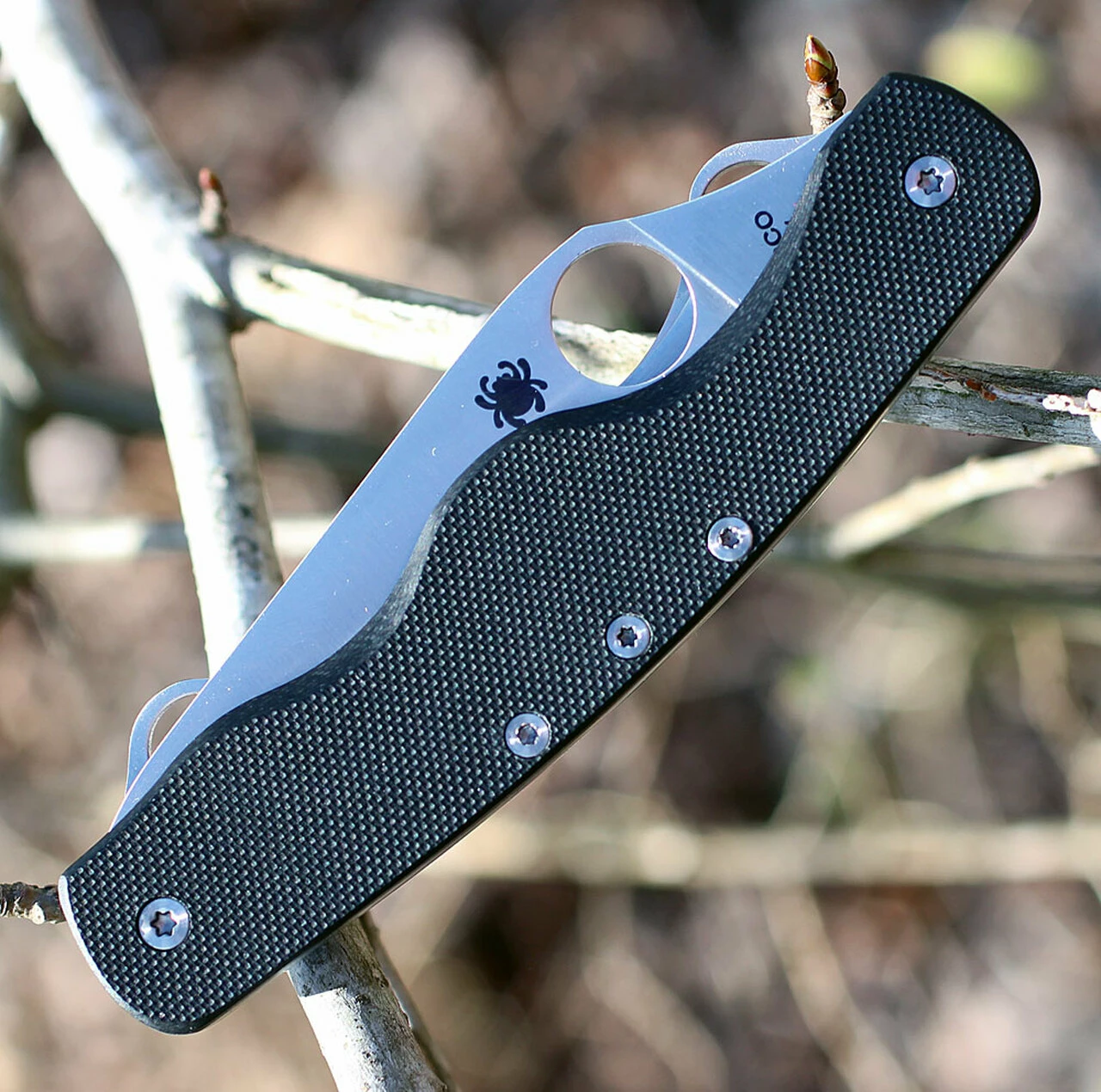 New ⭐ Spyderco Knives Spyderco C208GP ClipiTool Standard, 3.5" 8Cr13MoV Plain Blade, Black G-10 Handle ⌛ 3 New ⭐ Spyderco Knives Spyderco C208GP ClipiTool Standard, 3.5" 8Cr13MoV Plain Blade, Black G-10 Handle ⌛ - Image 3