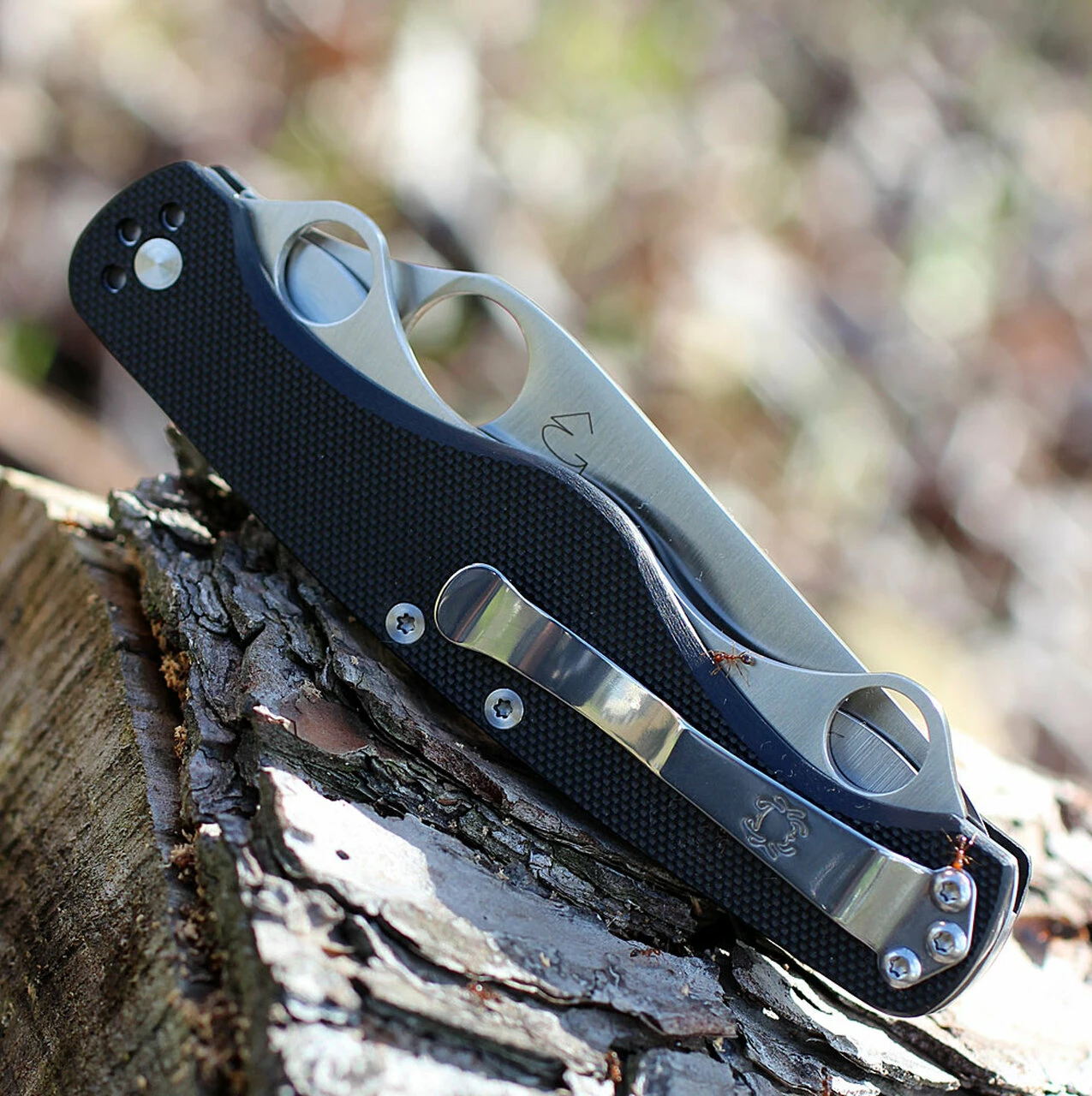 New ⭐ Spyderco Knives Spyderco C208GP ClipiTool Standard, 3.5" 8Cr13MoV Plain Blade, Black G-10 Handle ⌛ 6 New ⭐ Spyderco Knives Spyderco C208GP ClipiTool Standard, 3.5" 8Cr13MoV Plain Blade, Black G-10 Handle ⌛ - Image 6