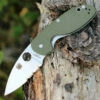 Flash Sale ⌛ Spyderco Knives Spyderco C216GPSGR EFFICIENT, Satin Part-Serrated Blade, Green G-10 Handle ⭐
