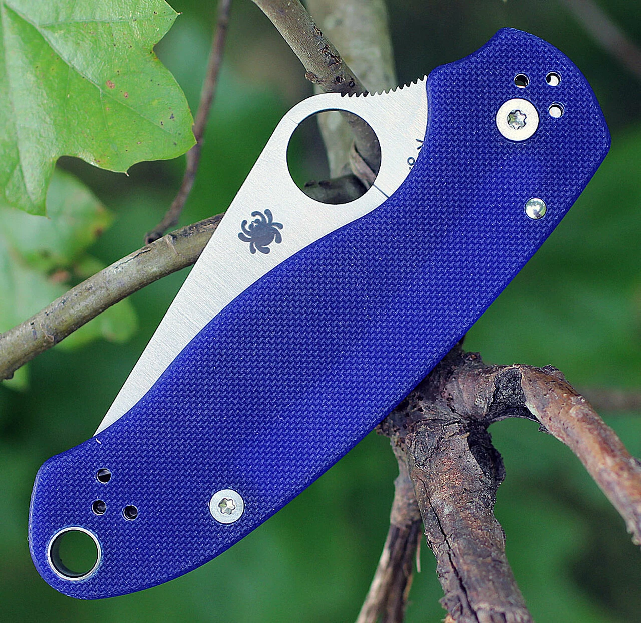 Coupon ๐ Spyderco Knives Spyderco Para-Military 3 G-10 Dark Blue C223GPDBL, 2.95" CPM S110V Plain Blade ๐งจ 3 Coupon ๐ Spyderco Knives Spyderco Para-Military 3 G-10 Dark Blue C223GPDBL, 2.95" CPM S110V Plain Blade ๐งจ - Image 3