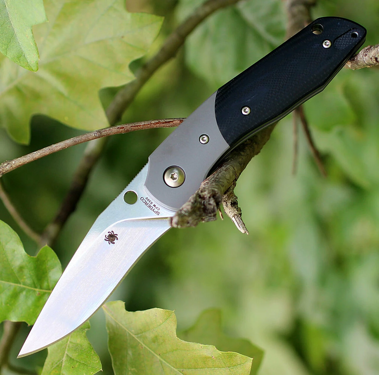 Wholesale 👏 Spyderco Knives Spyderco Hanan G-10 Black /Titanium Bolsters C227GP, 2.95" CPM S30V Plain Blade ❤️ 1 Wholesale 👏 Spyderco Knives Spyderco Hanan G-10 Black /Titanium Bolsters C227GP, 2.95" CPM S30V Plain Blade ❤️