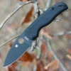 Best reviews of 💯 Spyderco Knives Spyderco C229GPBK Shaman, 3.58" CPM S30V Plain Black Blade, Black G-10 Handle 🎉