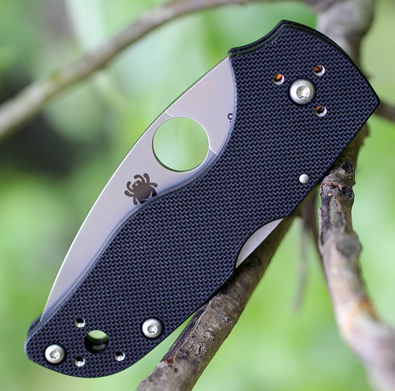 Cheapest 👏 Spyderco Knives Spyderco C230MBGS Lil' Native, 2.5" CPM S30V Serrated Blade, Black G-10 Handle 👏 3 Cheapest 👏 Spyderco Knives Spyderco C230MBGS Lil' Native, 2.5" CPM S30V Serrated Blade, Black G-10 Handle 👏 - Image 3