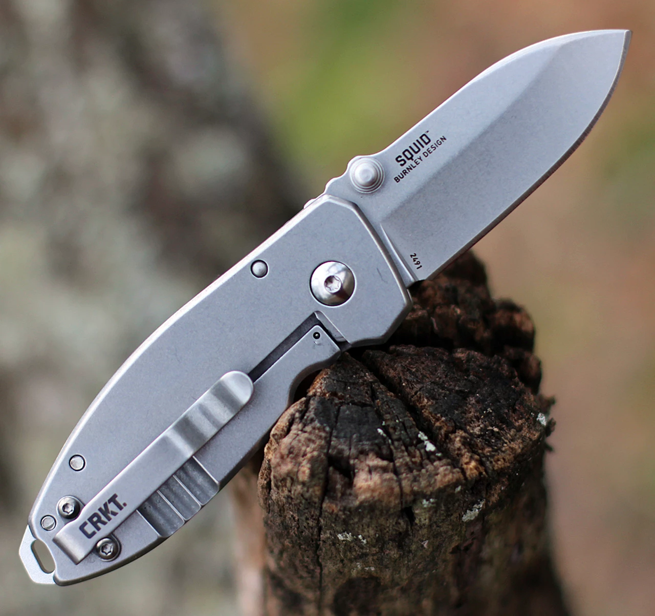 Brand new 🔥 CRKT 2491 Squid Folder, 2.25" Stonewashed 8Cr14MoV Plain Blade, Stainless Steel Handle 💯 2 Brand new 🔥 CRKT 2491 Squid Folder, 2.25" Stonewashed 8Cr14MoV Plain Blade, Stainless Steel Handle 💯 - Image 2