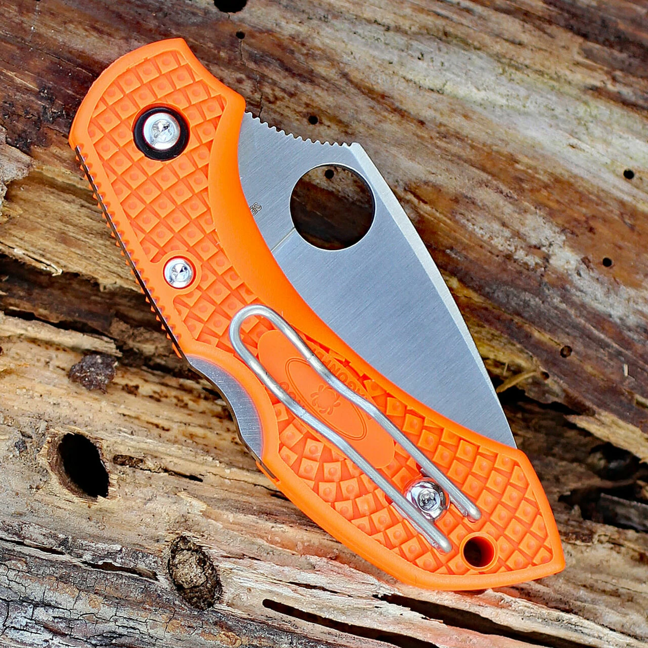 Best deal 🔔 Spyderco Knives Spyderco C28POR2 Dragonfly 2, 2.30" VG-10 Plain Blade, Orange FRN Handle 👏 4 Best deal 🔔 Spyderco Knives Spyderco C28POR2 Dragonfly 2, 2.30" VG-10 Plain Blade, Orange FRN Handle 👏 - Image 4