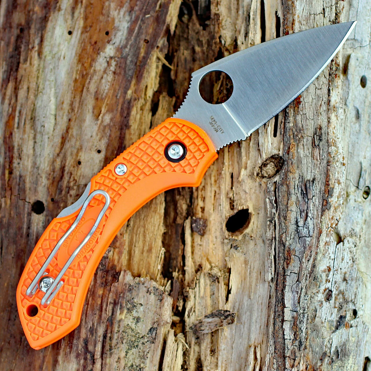 Best deal 🔔 Spyderco Knives Spyderco C28POR2 Dragonfly 2, 2.30" VG-10 Plain Blade, Orange FRN Handle 👏 2 Best deal 🔔 Spyderco Knives Spyderco C28POR2 Dragonfly 2, 2.30" VG-10 Plain Blade, Orange FRN Handle 👏 - Image 2
