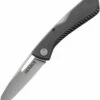 Best reviews of 😍 Gerber Sharkbelly Folding Knife 31-003214, 3.25". 420HC Plain Blade, Gray GRN Handle ⌛