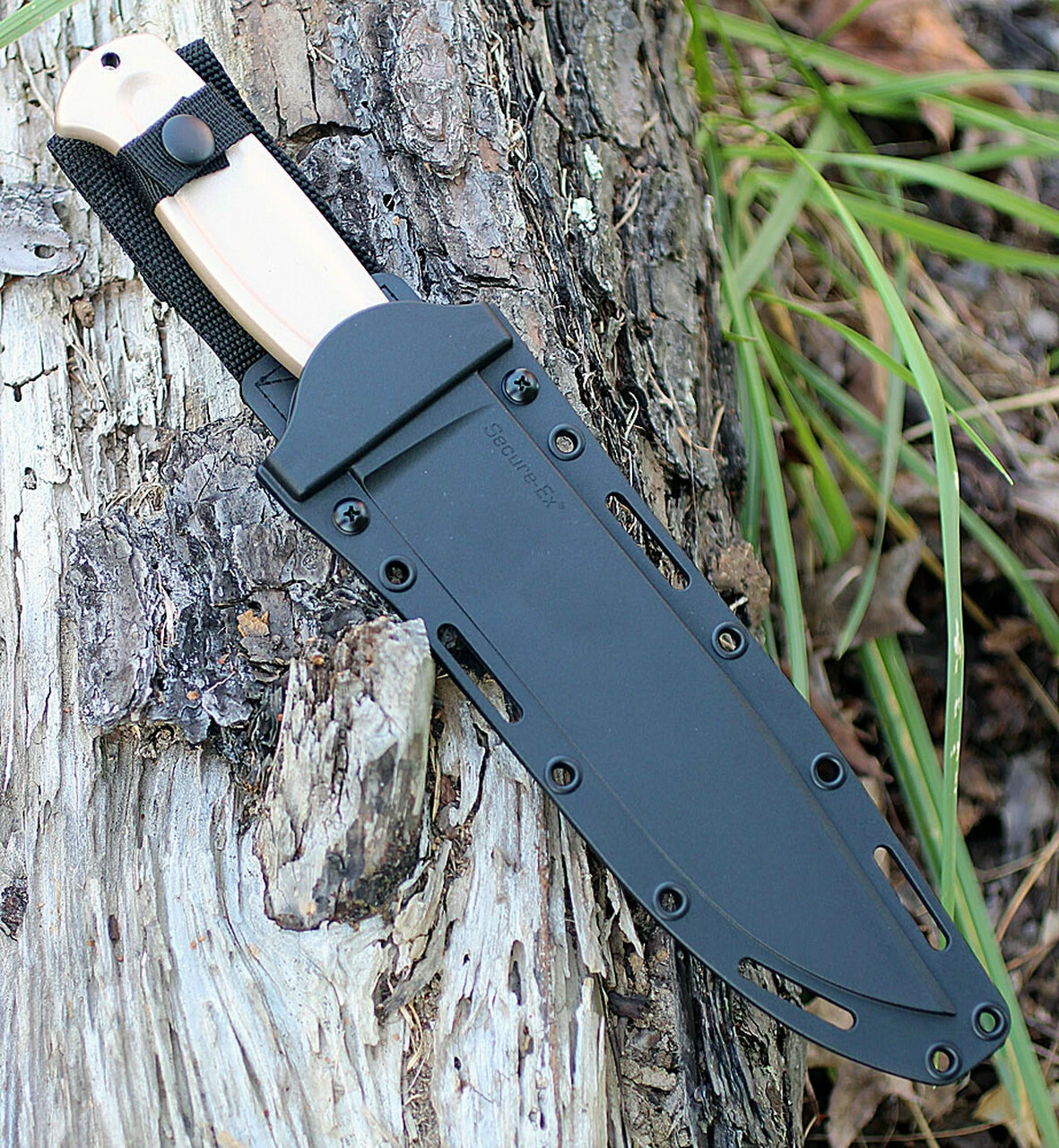 Buy 🧨 Cold Steel 36MC Drop Forged Survivalist, 8" 52100 Plain Blade, Full Tang ✔️ 3 Buy 🧨 Cold Steel 36MC Drop Forged Survivalist, 8" 52100 Plain Blade, Full Tang ✔️ - Image 3