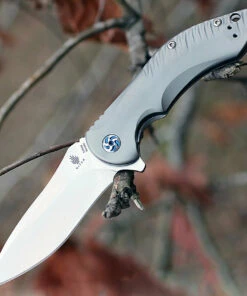 Best reviews of 🧨 Kizer Cutlery Kizer 4492 Alter Ego, 3.5" CPM-S35VN Plain Blade, Titanium Handle ✔️