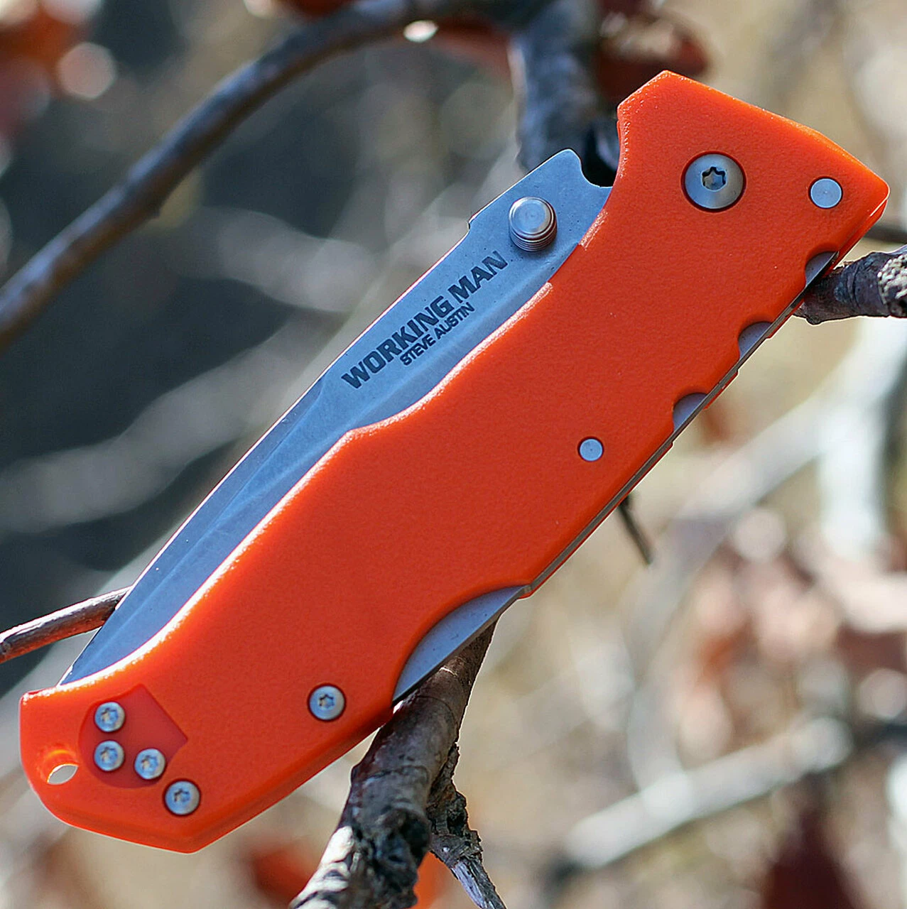 Wholesale ⌛ Cold Steel 54NVRY Steve Austin Working Man, 3.5" 4116 Plain Blade, Blaze Orange GFN Handle ❤️ 4 Wholesale ⌛ Cold Steel 54NVRY Steve Austin Working Man, 3.5" 4116 Plain Blade, Blaze Orange GFN Handle ❤️ - Image 4