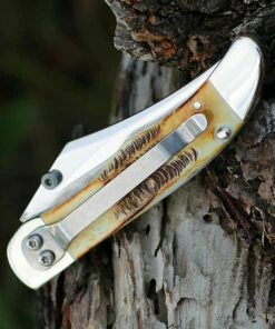 New 🔔 Case 65314 A/O Mid-Folding Hunter, Bonestag Handle (6.51265AC SS) 💯 -Automatic Knives shop 65314.1 02566.1585324061