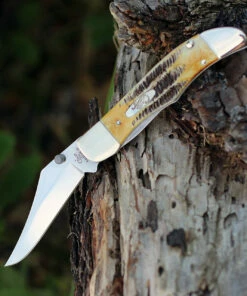 New 🔔 Case 65314 A/O Mid-Folding Hunter, Bonestag Handle (6.51265AC SS) 💯