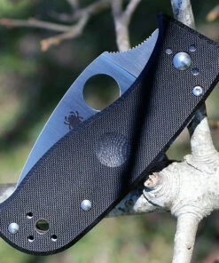 Buy 🎉 Spyderco Knives Spyderco C69GP3 LIL' TEMPERANCE 3, 2.9" CPMS30V Plain Blade, G-10 Handle ⭐ -Automatic Knives shop 69gp3.3 82749.1566585889