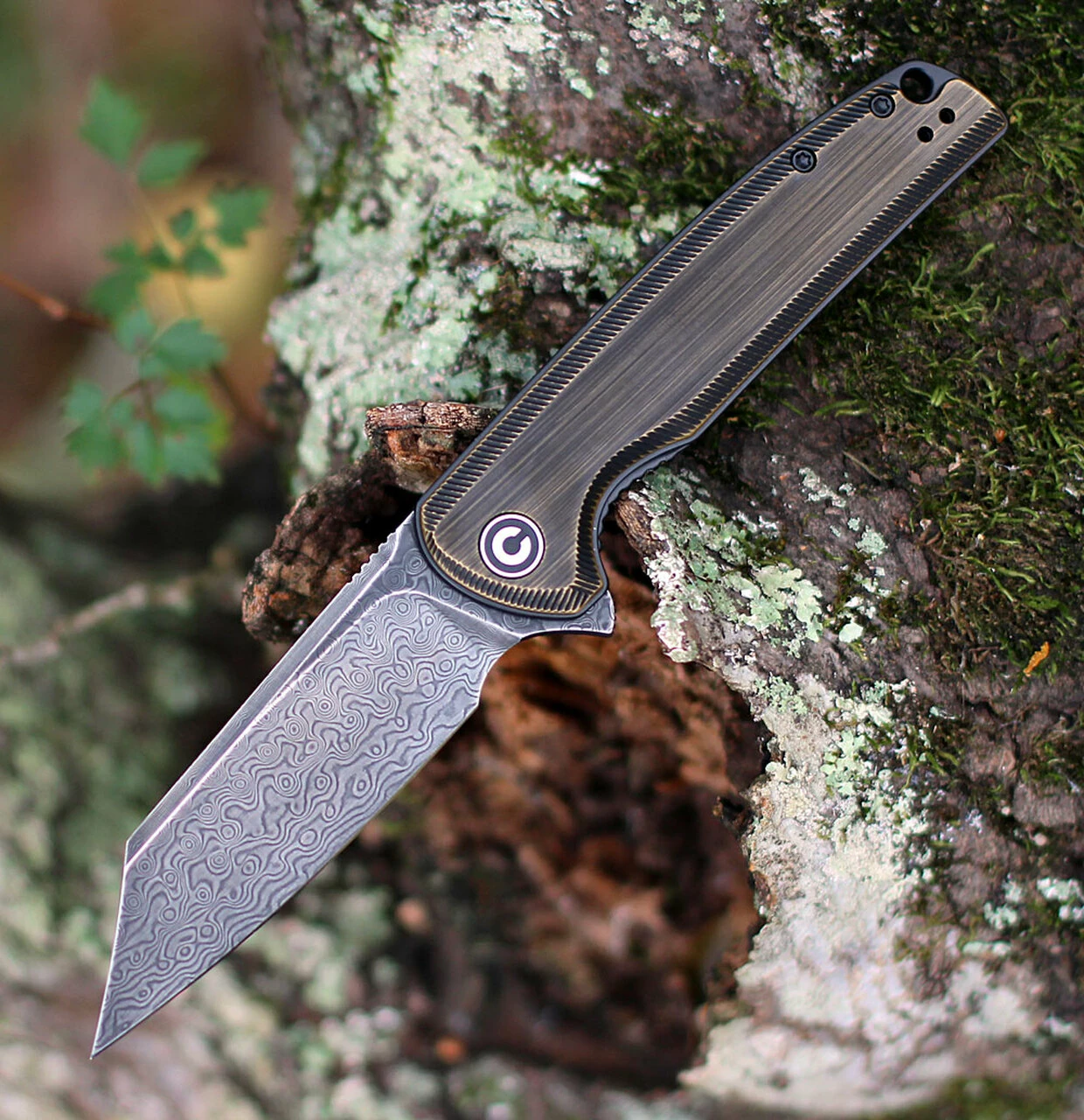 Deals ๐งจ CIVIVI Knives CIVIVI Brigand Linerlock Folder C909DS-2, 3.46โ Damascus Wharncliffe Plain Blade, Brass Handles ๐ 1 Deals ๐งจ CIVIVI Knives CIVIVI Brigand Linerlock Folder C909DS-2, 3.46โ Damascus Wharncliffe Plain Blade, Brass Handles ๐