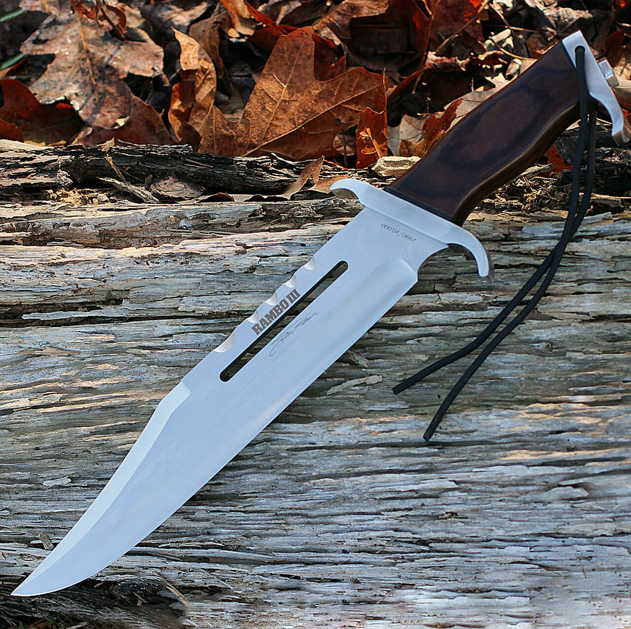Best reviews of 🔔 Rambo 9297 First Blood Part III Signature Edition, 13" 440 Plain Blade, Hardwood Handle 🌟 1 Best reviews of 🔔 Rambo 9297 First Blood Part III Signature Edition, 13" 440 Plain Blade, Hardwood Handle 🌟