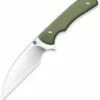 Best deal 🌟 Artisan Cutlery Sea Snake Fixed Blade Knife 1842B-GN, 3.15" AR-RPM9 Satin Wharncliffe Blade, Green G-10 Handle 🔔