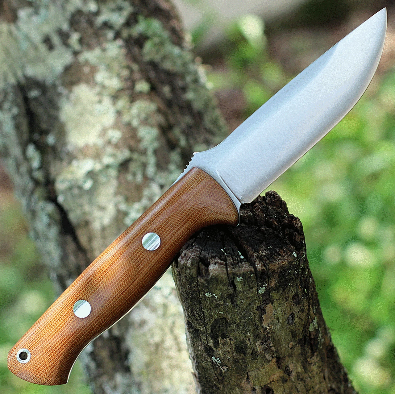 Best reviews of 🔥 Bark River Knives Bark River Bravo 1 Natural Canvas Micarta (4.2" CPM-3V) 07-122MNC 🛒 2 Best reviews of 🔥 Bark River Knives Bark River Bravo 1 Natural Canvas Micarta (4.2" CPM-3V) 07-122MNC 🛒 - Image 2