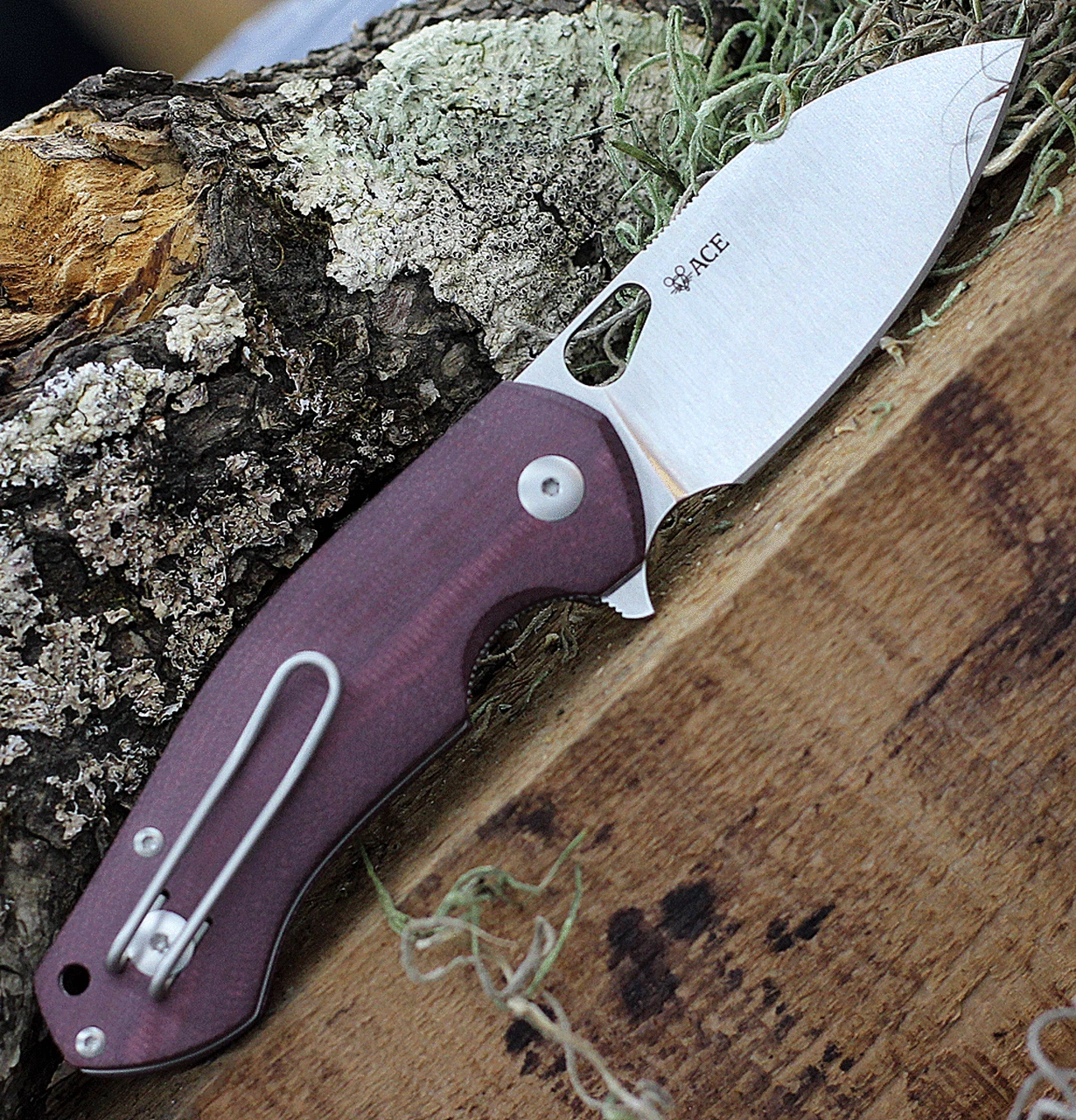 Brand new 😀 GiantMouse ACE Biblio Flipper, 2.875" M390 Satin Plain Blade, Burgundy Canvas Handle ✔️ 2 Brand new 😀 GiantMouse ACE Biblio Flipper, 2.875" M390 Satin Plain Blade, Burgundy Canvas Handle ✔️ - Image 2