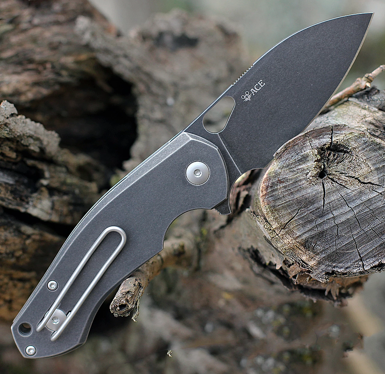 Discount ๐งจ GiantMouse ACE Biblio Flipper, 2.9" PVD Stonewashed M390 Drop Point Blade, PVD Stonewashed Titanium Handle ๐ 2 Discount ๐งจ GiantMouse ACE Biblio Flipper, 2.9" PVD Stonewashed M390 Drop Point Blade, PVD Stonewashed Titanium Handle ๐ - Image 2