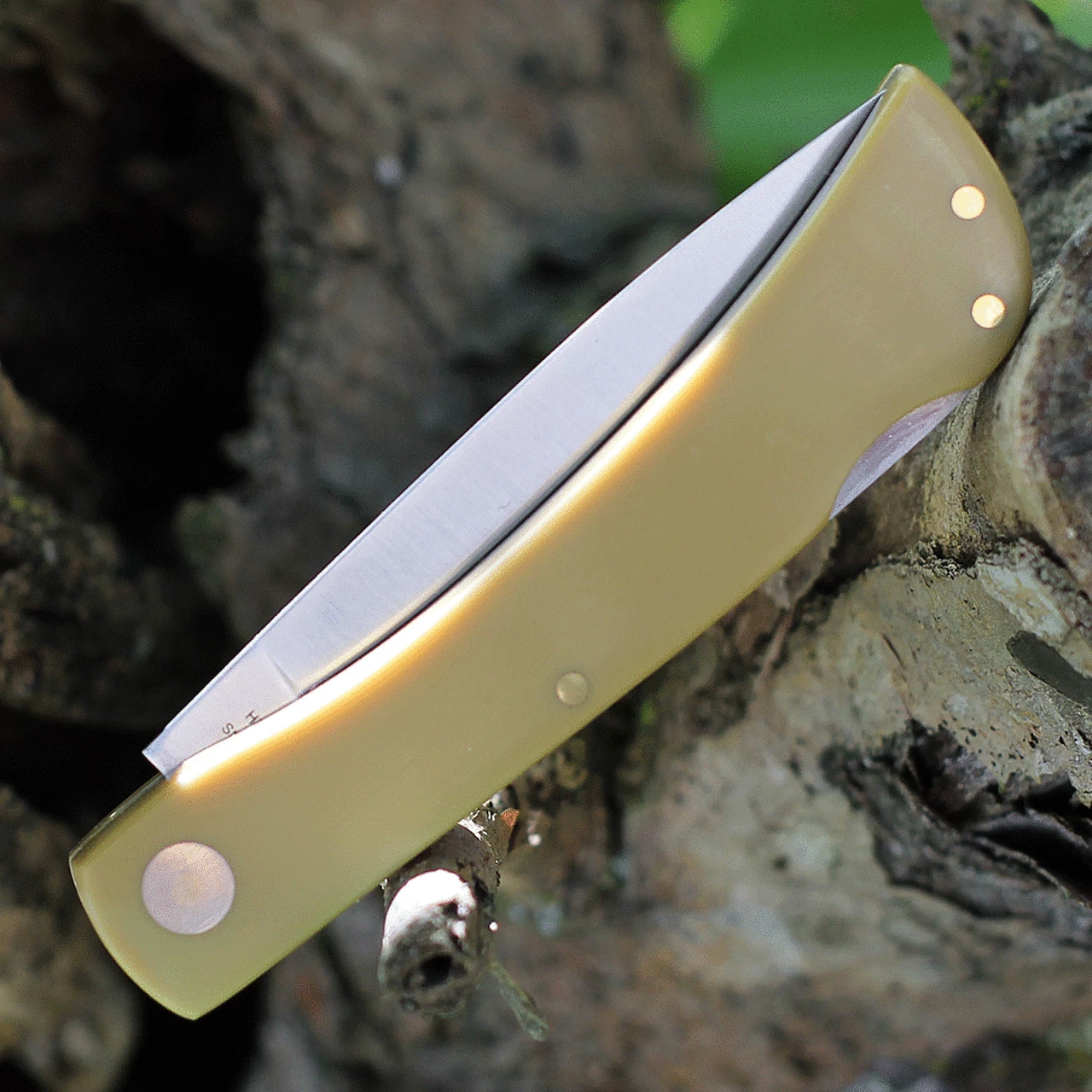 Coupon ⌛ Boker Plus Rangebuster Jr. - Yellow Polymer (3 High Carbon Satin) 01Bo021 🤩 3 Coupon ⌛ Boker Plus Rangebuster Jr. - Yellow Polymer (3 High Carbon Satin) 01Bo021 🤩 - Image 3