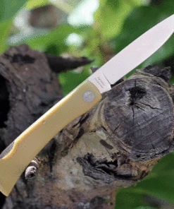 Coupon ⌛ Boker Plus Rangebuster Jr. - Yellow Polymer (3 High Carbon Satin) 01Bo021 🤩 5 Coupon ⌛ Boker Plus Rangebuster Jr. - Yellow Polymer (3 High Carbon Satin) 01Bo021 🤩 -Automatic Knives shop BOP01BO021 34368.1625857296