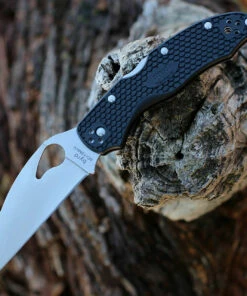 Hot Sale 🔔 Byrd Knives Byrd Harrier 2 - Blk FRN (3.38" 8Cr13MoV Plain) BY01PBKWC2 ❤️