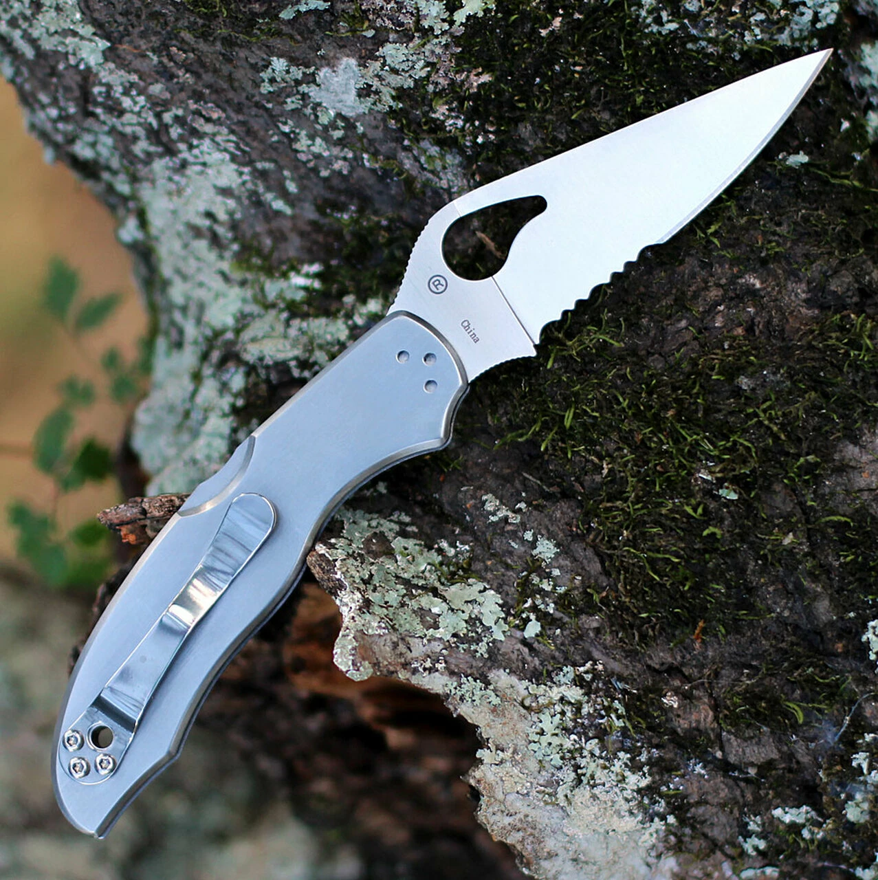 New 🔔 Byrd Knives Byrd BY01PS2 HARRIER™ 2 STAINLESS, 3.36" 8Cr13MoV Combo Blade, SS Handle 🤩 2 New 🔔 Byrd Knives Byrd BY01PS2 HARRIER™ 2 STAINLESS, 3.36" 8Cr13MoV Combo Blade, SS Handle 🤩 - Image 2