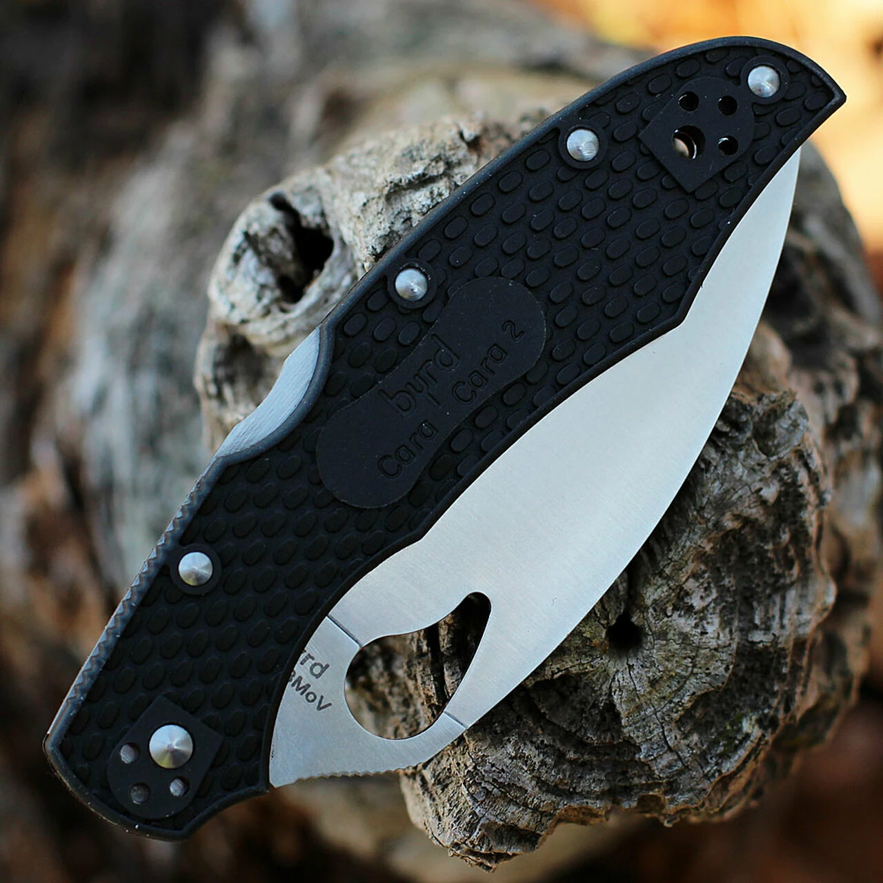 New ✔️ Byrd Knives Byrd Cara Cara 2 - Blk FRN (3.83" 8Cr13MoV Plain) BY03PBKWC2 ⌛ 3 New ✔️ Byrd Knives Byrd Cara Cara 2 - Blk FRN (3.83" 8Cr13MoV Plain) BY03PBKWC2 ⌛ - Image 3