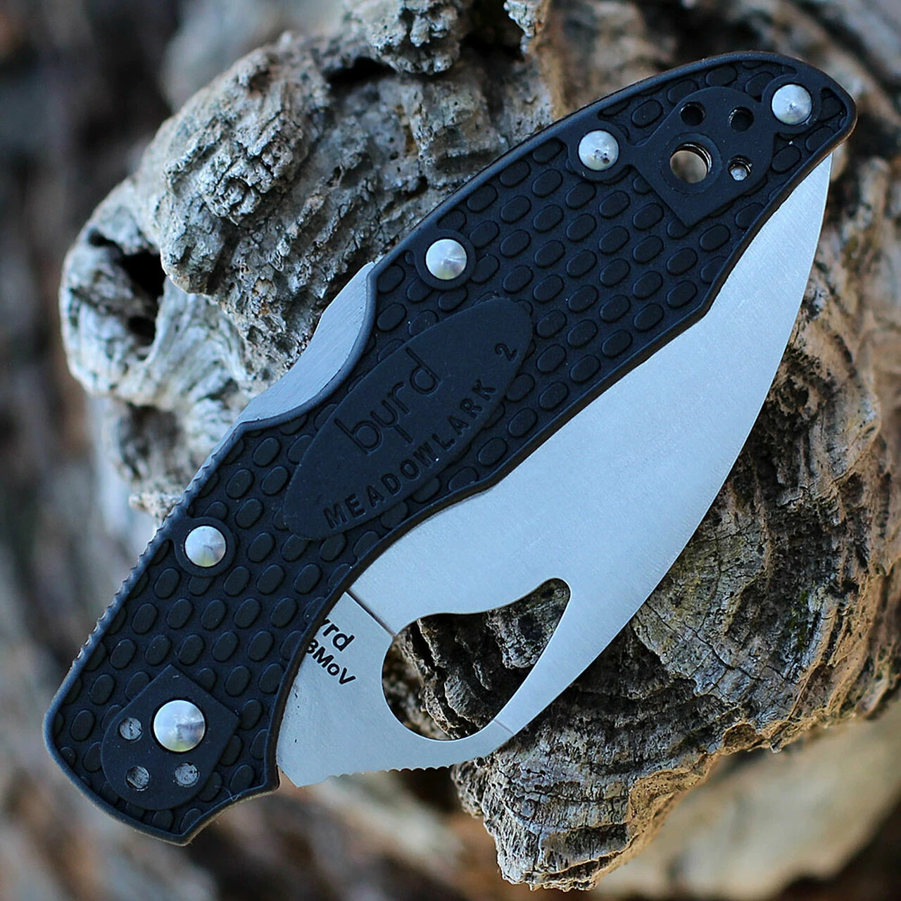 Wholesale 🤩 Byrd Knives Byrd Meadowlark 2 - Blk FRN (2.96" 8Cr13MoV Plain) BY04PBKWC2 🔔 3 Wholesale 🤩 Byrd Knives Byrd Meadowlark 2 - Blk FRN (2.96" 8Cr13MoV Plain) BY04PBKWC2 🔔 - Image 3