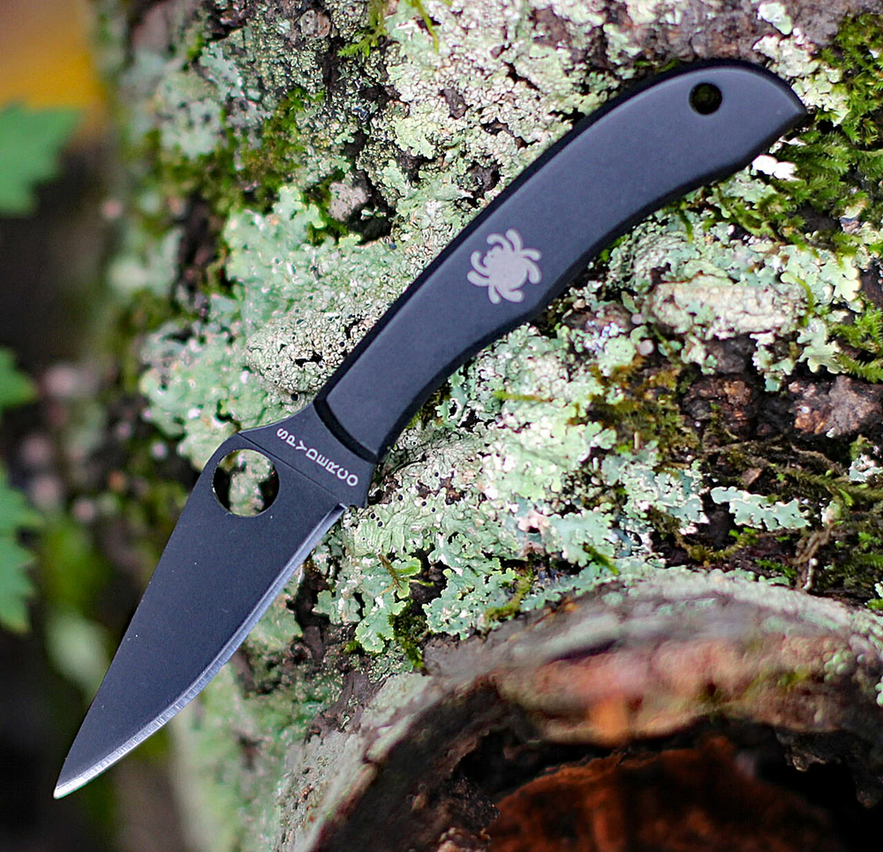 Cheap ๐งจ Spyderco Knives Spyderco Honeybee C137BKP, 1.625" 3Cr Black Plain Blade, Stainless w/Black Oxide Handle ๐ 1 Cheap ๐งจ Spyderco Knives Spyderco Honeybee C137BKP, 1.625" 3Cr Black Plain Blade, Stainless w/Black Oxide Handle ๐