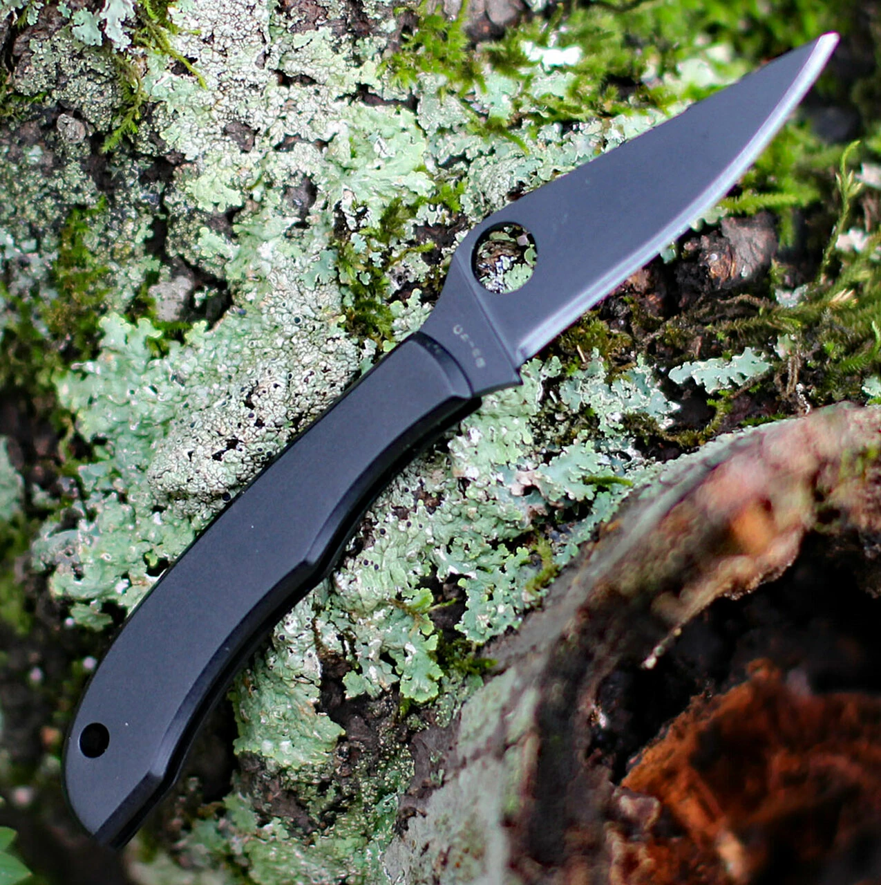 Cheap ๐งจ Spyderco Knives Spyderco Honeybee C137BKP, 1.625" 3Cr Black Plain Blade, Stainless w/Black Oxide Handle ๐ 2 Cheap ๐งจ Spyderco Knives Spyderco Honeybee C137BKP, 1.625" 3Cr Black Plain Blade, Stainless w/Black Oxide Handle ๐ - Image 2