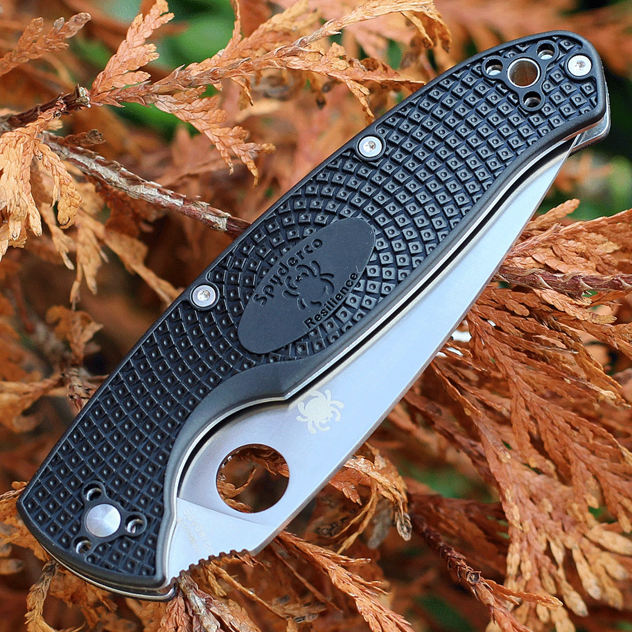 Discount 😍 Spyderco Knives Spyderco Resilience Lightweight C142PSBK, 4.20" 8Cr13MoV Satin Part Serrated Blade, Black FRN handle ⭐ 3 Discount 😍 Spyderco Knives Spyderco Resilience Lightweight C142PSBK, 4.20" 8Cr13MoV Satin Part Serrated Blade, Black FRN handle ⭐ - Image 3