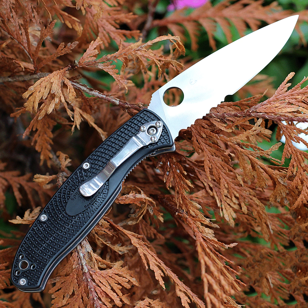 Discount 😍 Spyderco Knives Spyderco Resilience Lightweight C142PSBK, 4.20" 8Cr13MoV Satin Part Serrated Blade, Black FRN handle ⭐ 2 Discount 😍 Spyderco Knives Spyderco Resilience Lightweight C142PSBK, 4.20" 8Cr13MoV Satin Part Serrated Blade, Black FRN handle ⭐ - Image 2