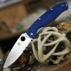 Top 10 👍 Spyderco Knives Spyderco Resilience Lightweight - Blue FRN (4.25" CPM-S35VN Satin ComboEdge) C142PSBL 🔔