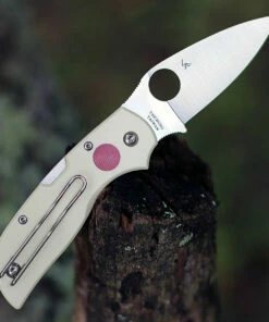 Outlet 💯 Spyderco Knives Spyderco Chaparral Sun and Moon C152GSMP, 2.8" CTS XHP Satin Plain Blade, G-10 Handle ❤️ 7 Outlet 💯 Spyderco Knives Spyderco Chaparral Sun and Moon C152GSMP, 2.8" CTS XHP Satin Plain Blade, G-10 Handle ❤️ -Automatic Knives shop C152GSMP.2 78069.1597432799