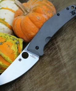 Budget 💯 Spyderco Knives Spyderco C211TIP Spydiechef, 3.5" LC200 N Tool Steel Plain Blade, Titanium Handles 😍