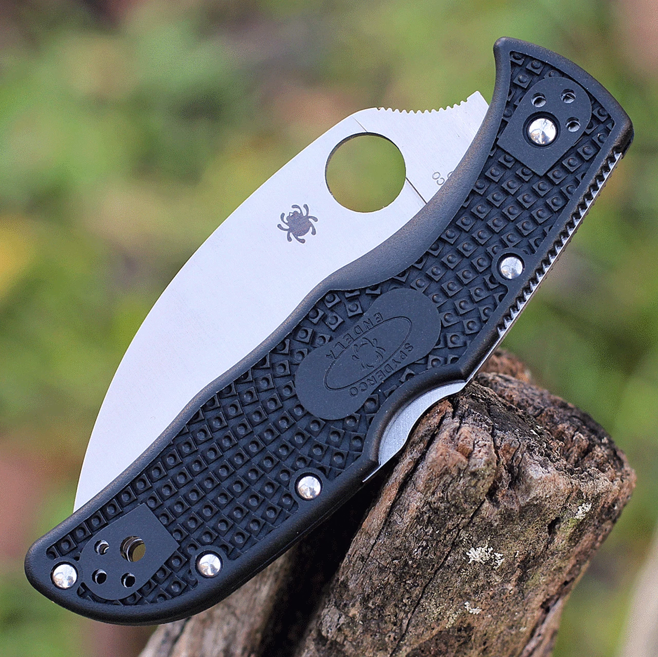 Wholesale ⭐ Spyderco Knives Spyderco Endela Wharncliffe - Blk FRN (3.4" VG-10 Satin) C243FPWCBK 😍 3 Wholesale ⭐ Spyderco Knives Spyderco Endela Wharncliffe - Blk FRN (3.4" VG-10 Satin) C243FPWCBK 😍 - Image 3