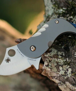 Buy ✨ Spyderco Knives Spyderco Pochi - Ti Bead Blast (1.6" CPM S45VN Satin) C256TIP 😍